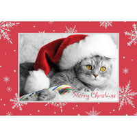 Rosedale 5-1/2" x 8" Greeting Cards/Envelopes - 36273-Value Greeting Cards
