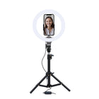 Basic Tech 10-inch LED Ring Light with Stand-Diameter: 10-inch (25.4 cm)