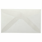 JAM Paper 2Pay Mini Small Envelopes, 2.5 x 4.25, Clear Translucent Vellum, 100 Pack (900767740A)-White