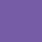 North American Paper Inc. Construction Paper - 12" x 18" - Violet - 48 Sheets-18" x 12" (Portrait)