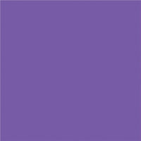 North American Paper Inc. Construction Paper - 12" x 18" - Violet - 48 Sheets-18" x 12" (Portrait)