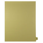 Mark Maker Legal Exhibit Index Tab Buff Single Tabs, 1/15th Cut, Letter Size, No Holes, Number 180, 25 Pack-Buff Single Tabs, 1/15th Cut