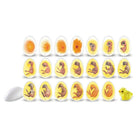 Learning Resources Chick Life Cycle Exploration Set-Type: Animal studies