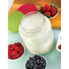 Euro Cuisine GY85 2 QT Glass Jar for Yogurt Maker, Clear-2 lids included