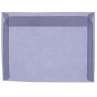 JAM Paper 9 x 12 Booklet Envelopes, Translucent Vellum Wisteria Purple, 25 Pack (1592177)-Wisteria purple