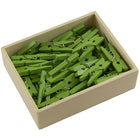 JAM Paper Wood Clothing Pin Clips, Small, 7/8, Green, 2 Packs of 50, 100 Total (230729135a)-.875in