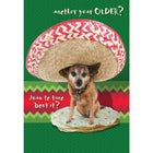 Millbrook Studios 5-3/8" x 7-3/4" Another Year Older? Greeting Cards and Envelopes, 18 Pack (06145)-Printed on uncoated card stock