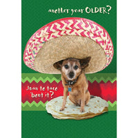 Millbrook Studios 5-3/8" x 7-3/4" Another Year Older? Greeting Cards and Envelopes, 18 Pack (06145)-Printed on uncoated card stock
