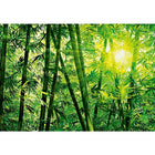 Ideal Decor Bamboo Forest Wall Mural, 144" x 100"-Measures to 12' x 8'4"