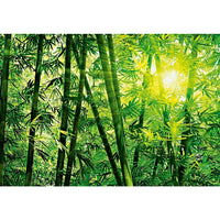 Ideal Decor Bamboo Forest Wall Mural, 144" x 100"-Measures to 12' x 8'4"