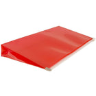 JAM Paper #10 Plastic Envelopes with Zip Closure, 5 x 10, Red Poly, 12 Pack (921Z1RE)-Closure: Gum