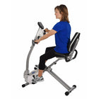 Stamina Recumbent Exercise Bike with Upper Body Ex (15-0340)-Steel