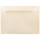 JAM Paper 9 x 12 Booklet Envelopes, Spring Ochre Ivory Translucent Vellum, 25 Pack (1592179)-Spring ochre ivory