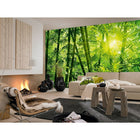 Ideal Decor Bamboo Forest Wall Mural, 144" x 100"-Comes with 8 panels