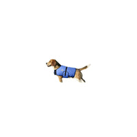 TechNiche Hyperkewl Evaporative Cooling Dog Coat Blue, 2X-Large (8529 RB 2XL)-Secured at the chest and under the belly with flexible shoulder panels to allow the dog to move without restriction