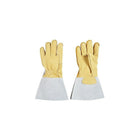 Leather Glove, " Elastic Cuff, Lined, Small (7-951060/1-S)-Size : Small