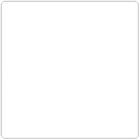 SPC Permanent Thermal Transfer Label - 4" x 4" - 3" Core - White - 1000 Pack-Label Description White Thermal