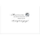 Aline Greetings Goodbye/Good Luck Hot Air Balloons, Goodbye and Good Luck, 18 Pack-5.375" x 7.75" folded