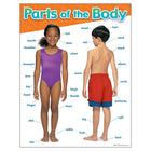 TREND enterprises, Inc. Parts of the Body Learning Chart, 17" x 22"-Each