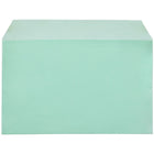 JAM Paper Cello Sleeves, A9, 5 7/16 x 8.63, Green, 100 Pack (2783141)-Size: 5-3/7" x 8-5/8"
