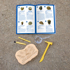 Educational Insights GeoSafari Jr. Fossil Excavation Kit - Multicolor-Fun with fossils! Fossils include a Mosasaurus tooth, trilobite, shark tooth, shark vertebra, gastropods, and more.
