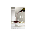 Trudeau Elite Wine Aerator-Dripless pour sprout