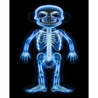 RoylcoWhat's Inside Me Doll (R-59257)-Ages 3+