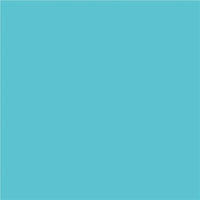 North American Paper Inc. Construction Paper - 12" x 18" - Light Blue - 48 Sheets-18" x 12" (Portrait)