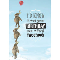 Millbrook Studios 5-3/8" x 7-3/4" I'D Know Birthday Greeting Cards and Envelopes, 18 Pack (06118)-Printed on uncoated card stock