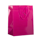 Jam Paper Glossy Gift Bags with Rope Handles - Large - 10" x 5" x 13" - Hot Pink - 100 Pack-Color: Hot Pink Glossy
