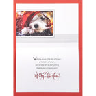 Rosedale "Merry Christmas" Dog Greeting Cards with Envelopes - 5-1/2" x 8" - 12 Pack-External Message: Merry Christmas