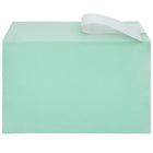 JAM Paper Cello Sleeves, A9, 5 7/16 x 8.63, Green, 100 Pack (2783141)-Weight: 0.6 lbs