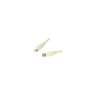 StarTech ® Câble USB A/A mâle à femelle USBEXTAA6 de 6 pi-Interface USB 2.0 haute vitesse pouvant transférer des données à des vitesses de 482 Mbit/s