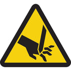 Accuform Signs Cut Or Sever Hazard Iso Warning Safety Labels, 4" x 4", Vinyl, Pictogram-Display Type Adhesive
