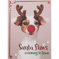 Rosedale 5-1/2" x 8" Greeting Cards/Envelopes - 36608-Value Greeting Cards