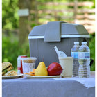 Koolatron Traveller 3 Thermoelectric Cooler-45-quart capacity