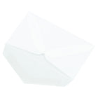 JAM Paper 3Drug Translucent Vellum Mini Envelopes - 2.3125" x 3.625" - Clear - 25 Pack -Quantity: 25 envelopes per pack
