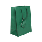 Jam Paper Gift Bags with Rope Handles - Medium - 8" x 10" x 4" - Green Matte - 100 Pack-Color: Green Matte