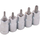 Gray Tools 6 Piece 3/8" Drive Tamper Resistant, Torx Head Socket Set, T7-T20-Contains Sizes: T7, T8, T9, T10, T15, T20.