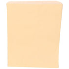 JAM Paper Gift Bags, Medium, 8.5" x 11", Ivory, 1000 Pack (342126874)-colour: Ivory Bag