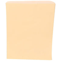 JAM Paper Gift Bags, Medium, 8.5" x 11", Ivory, 1000 Pack (342126874)-colour: Ivory Bag