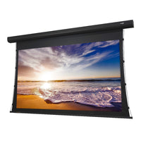 Elunevision 135" 16:9 Reference 4K Tab-Tension Motorized Screen-Electric projection screen
