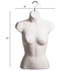 Eddie's Female Hanging Shirt Forms - PVC - White - 2 Pack (155729-2)-White