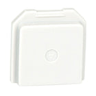 BW Technologies by Honeywell Gas Detector Dummy Sensor for Toxic Location, 2 Pack (SR-TOX-MC-DUM)-Parts: Sensors