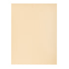 North American Paper Inc. Tag Manilla Paper - 9" x 12" - HWT - 96 Sheets-Cream